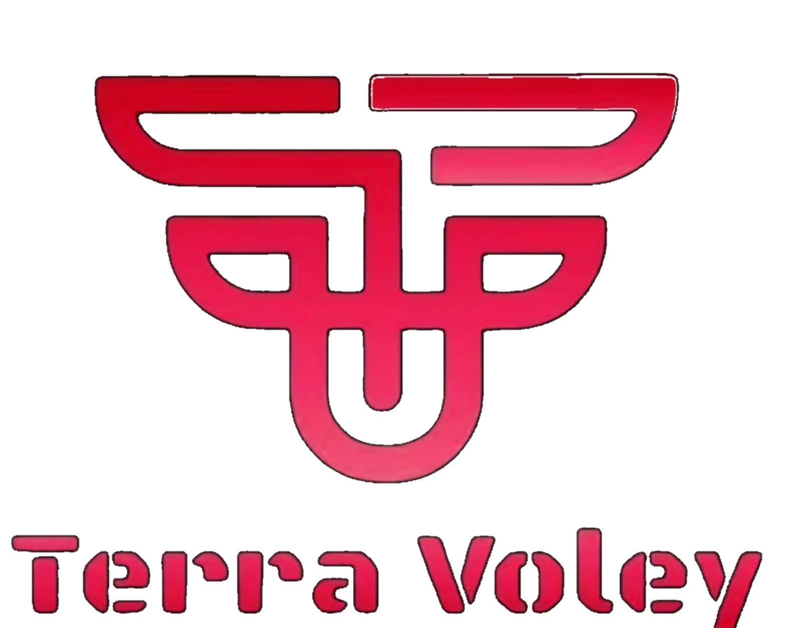 Logo de Terra Voley